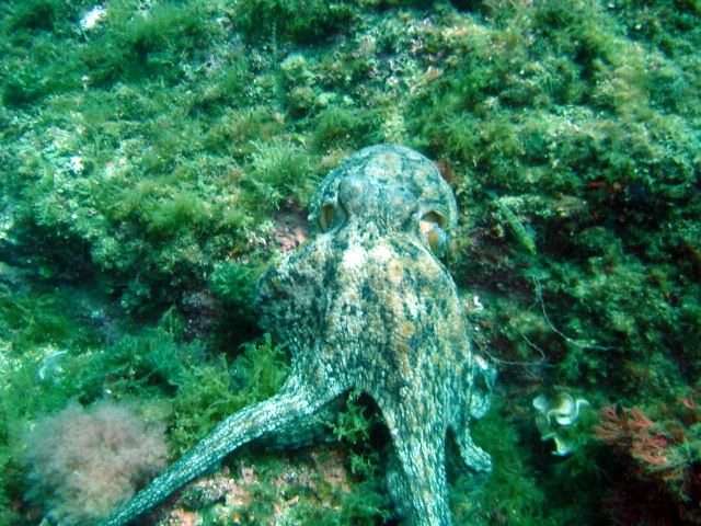 2013-06-13 12-03-01 Steven.JPG